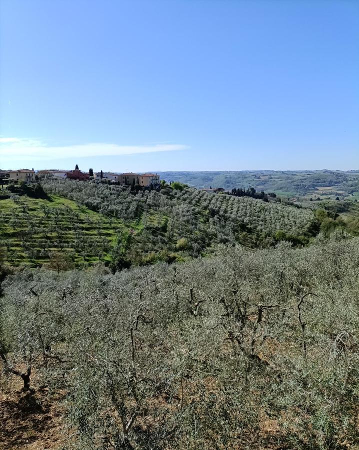 Chianti-Home Palagione Strada in Chianti Εξωτερικό φωτογραφία